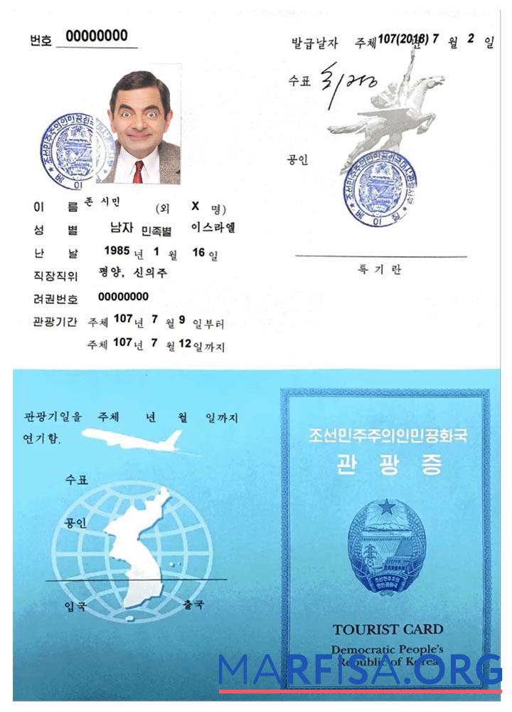 Realistic Korea tourist card download for verification